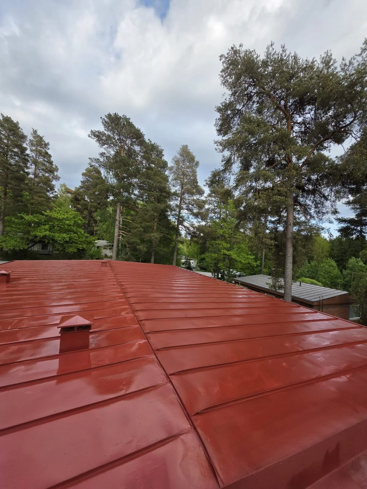 Punaiseksi maalattu peltikatto Turussa